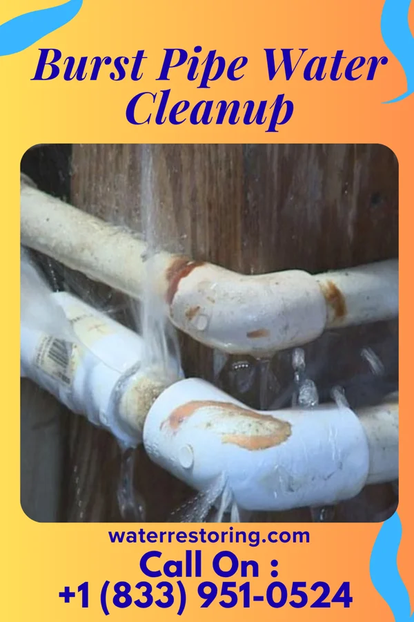 Burst Pipe Water Cleanup in Gilgo, NY