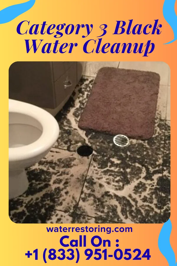 Category 3 Black Water Cleanup in Gilgo, NY