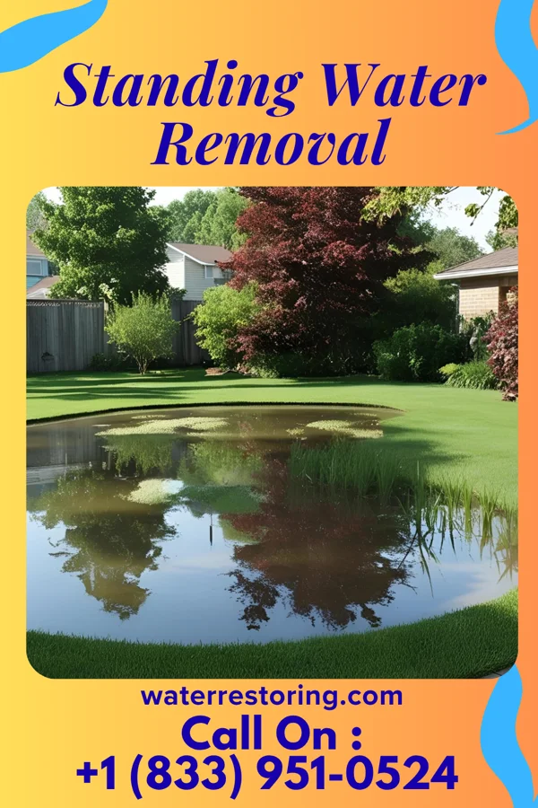Standing Water Removal in Gilgo, NY